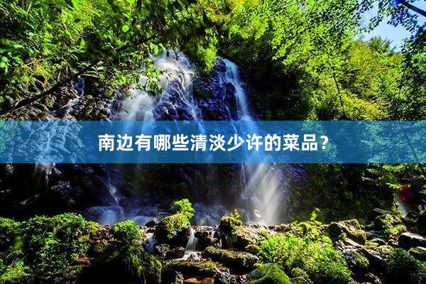 南边有哪些清淡少许的菜品？