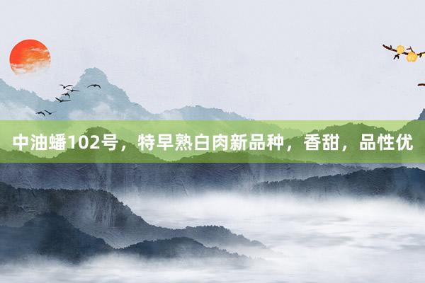 中油蟠102号，特早熟白肉新品种，香甜，品性优