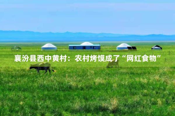 襄汾县西中黄村：农村烤馍成了“网红食物”