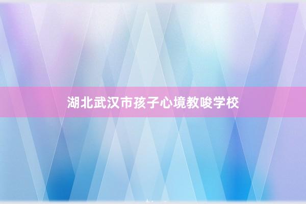 湖北武汉市孩子心境教唆学校