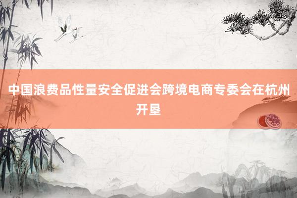 中国浪费品性量安全促进会跨境电商专委会在杭州开垦
