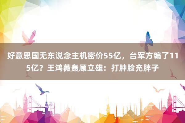 好意思国无东说念主机密价55亿，台军方编了115亿？王鸿薇轰顾立雄：打肿脸充胖子