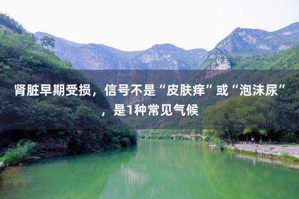 肾脏早期受损，信号不是“皮肤痒”或“泡沫尿”，是1种常见气候