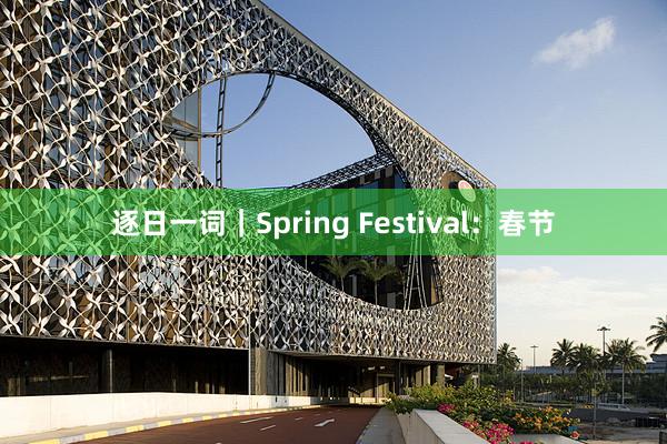 逐日一词｜Spring Festival：春节