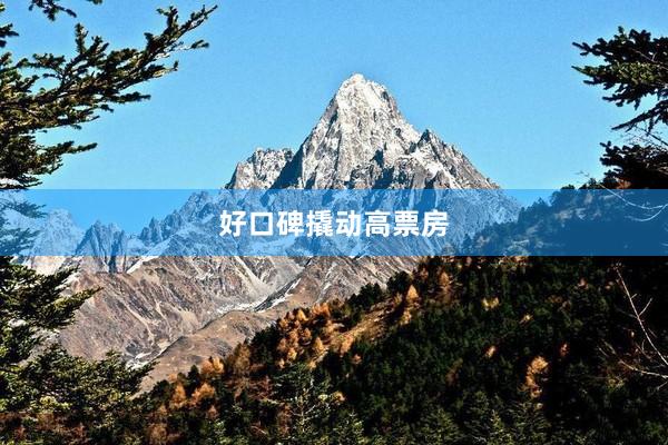 好口碑撬动高票房
