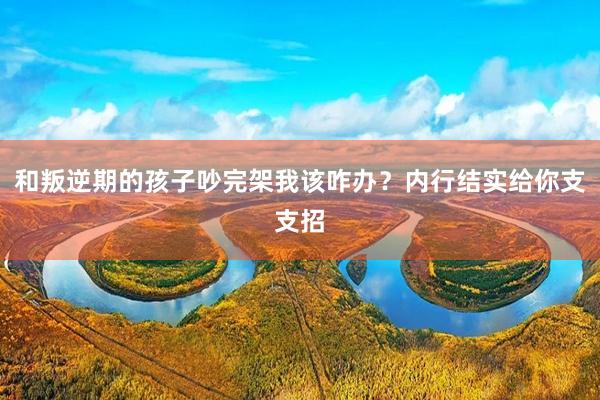 和叛逆期的孩子吵完架我该咋办？内行结实给你支支招