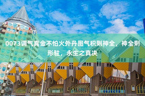 0073调气真金不怕火外丹图气积则神全，神全则形驻，永生之真决